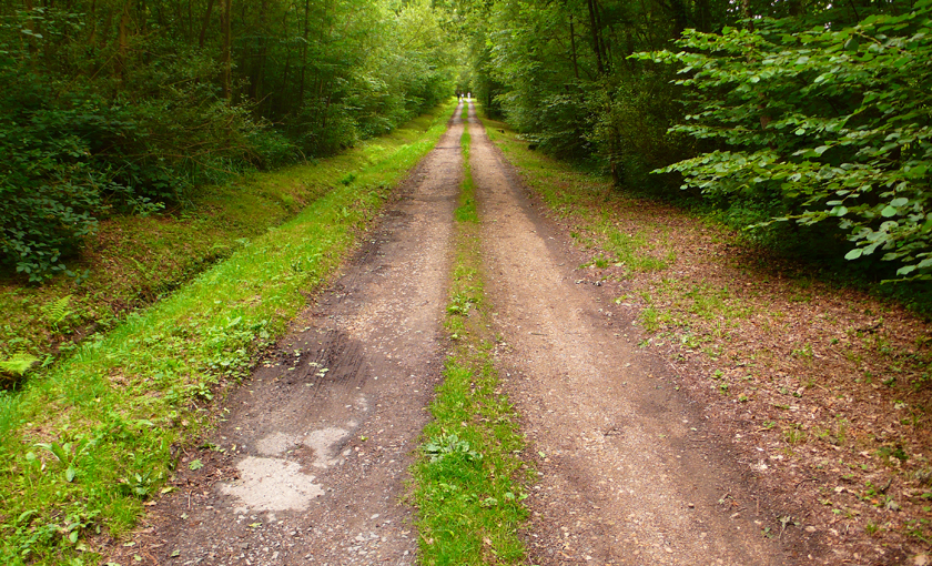 Chemin