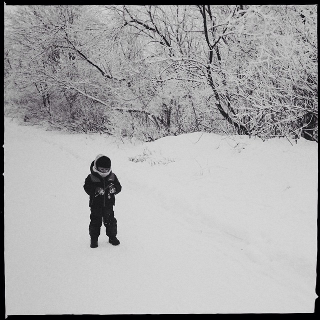 Neige