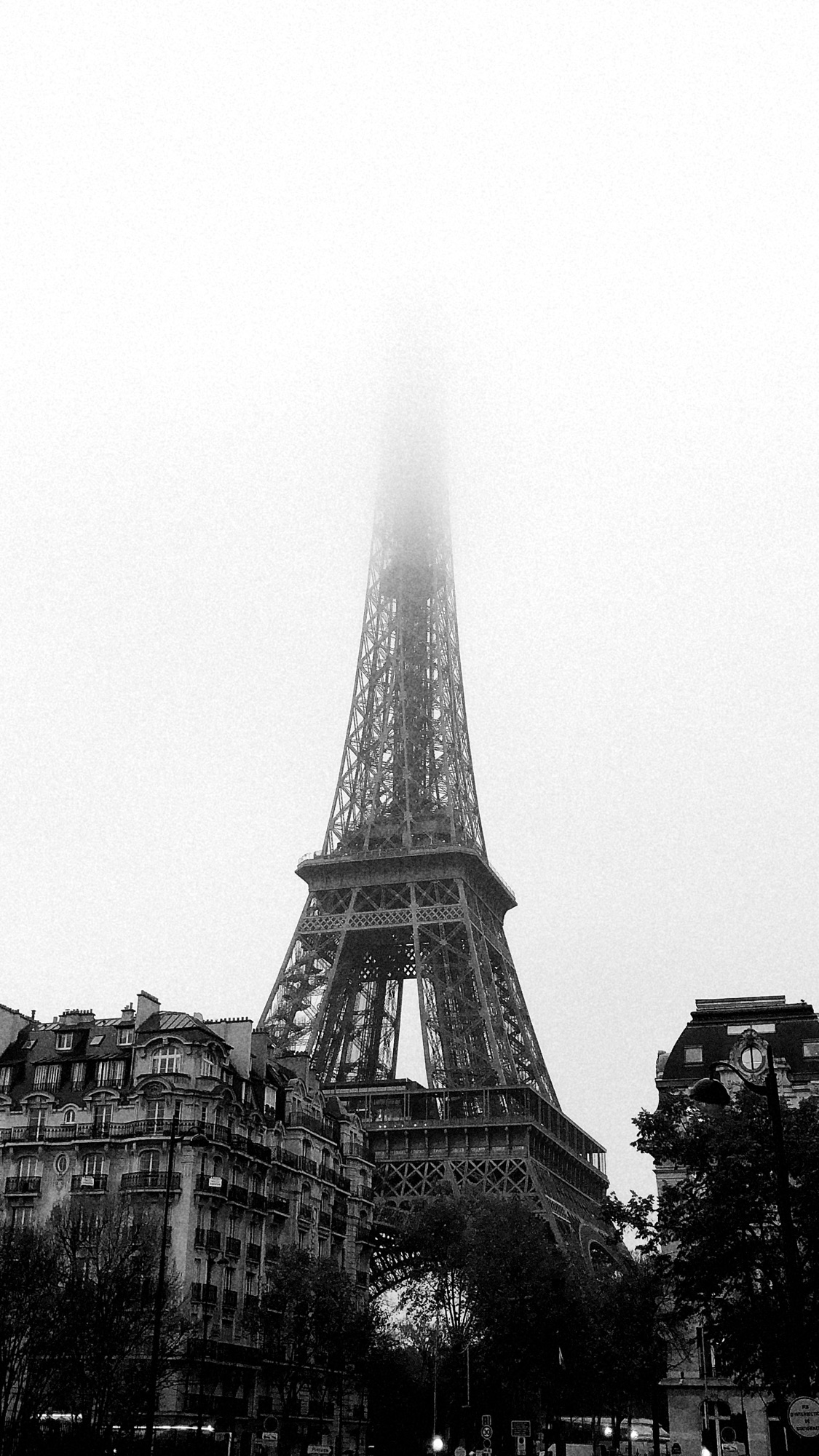 Brume